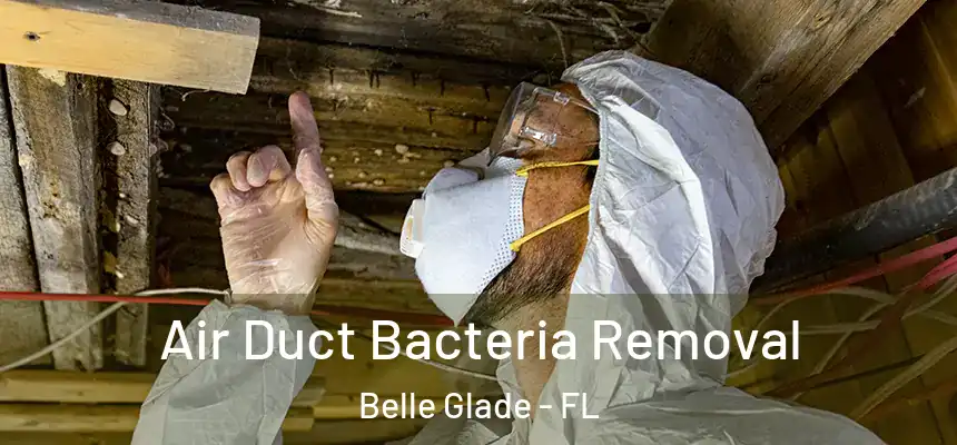 Air Duct Bacteria Removal Belle Glade - FL