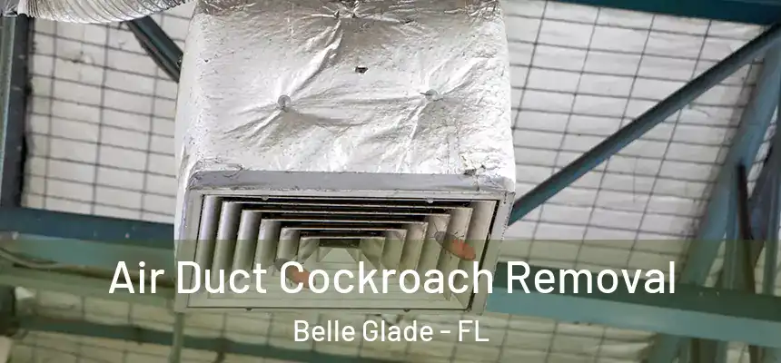 Air Duct Cockroach Removal Belle Glade - FL