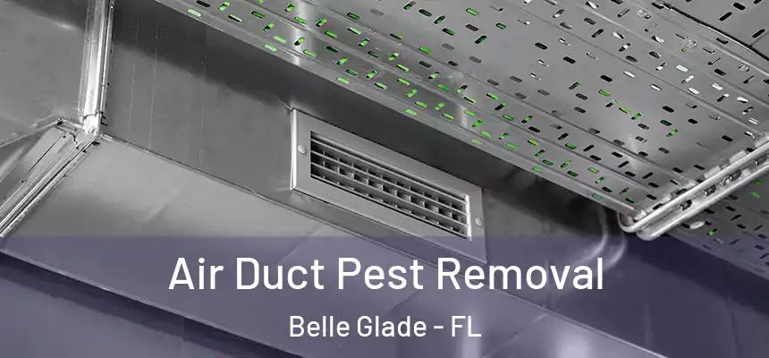 Air Duct Pest Removal Belle Glade - FL