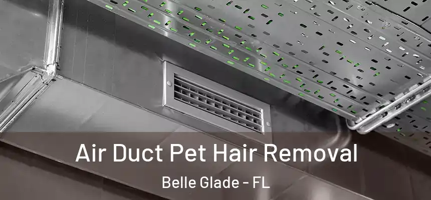 Air Duct Pet Hair Removal Belle Glade - FL