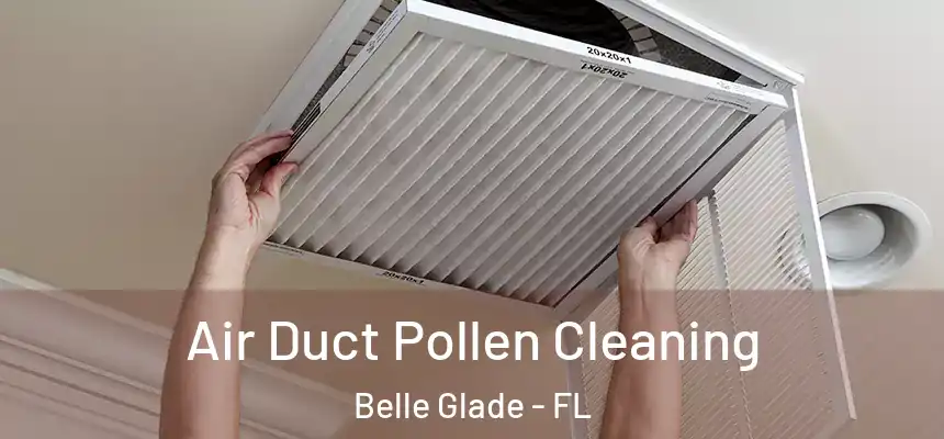 Air Duct Pollen Cleaning Belle Glade - FL
