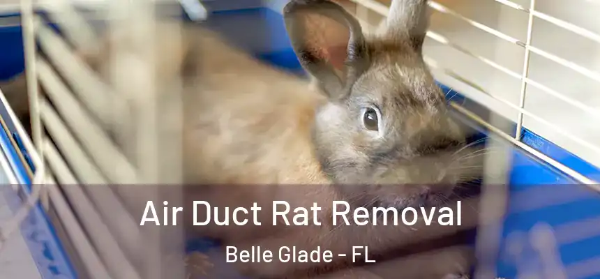 Air Duct Rat Removal Belle Glade - FL