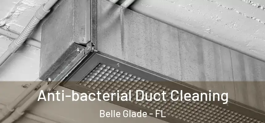 Anti-bacterial Duct Cleaning Belle Glade - FL