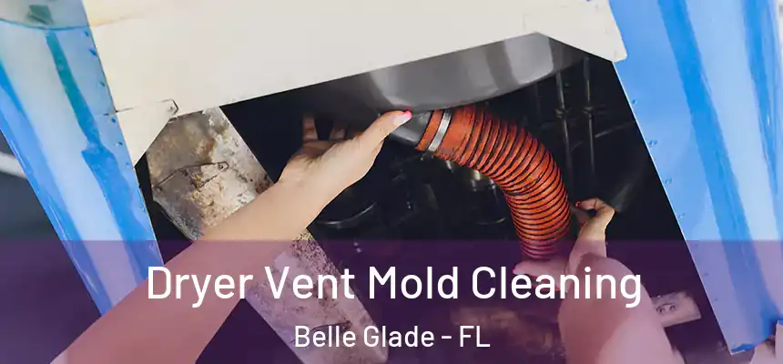Dryer Vent Mold Cleaning Belle Glade - FL