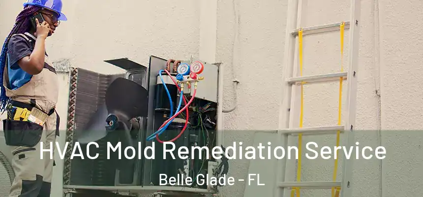 HVAC Mold Remediation Service Belle Glade - FL