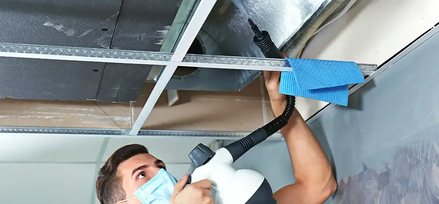 Our Air Duct Rodent Removal Services in Belle Glade, FL