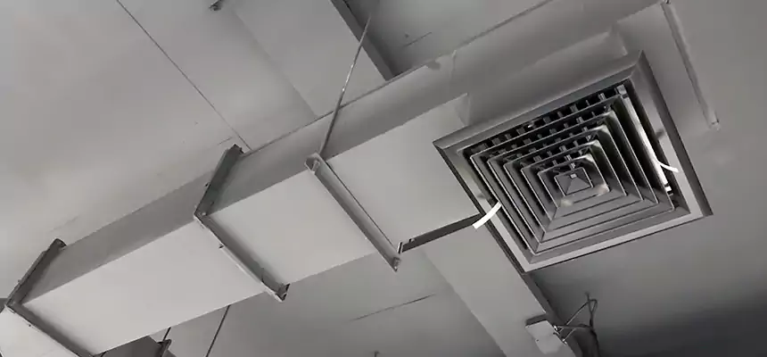 Our Rodent Droppings In Vents Services in Belle Glade, FL