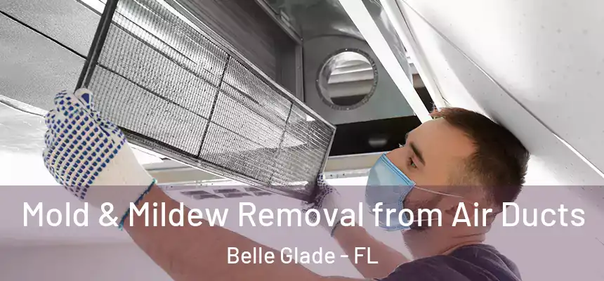 Mold & Mildew Removal from Air Ducts Belle Glade - FL