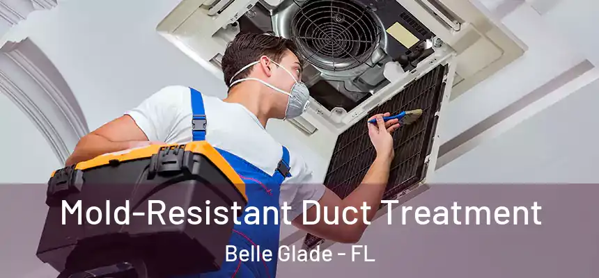 Mold-Resistant Duct Treatment Belle Glade - FL