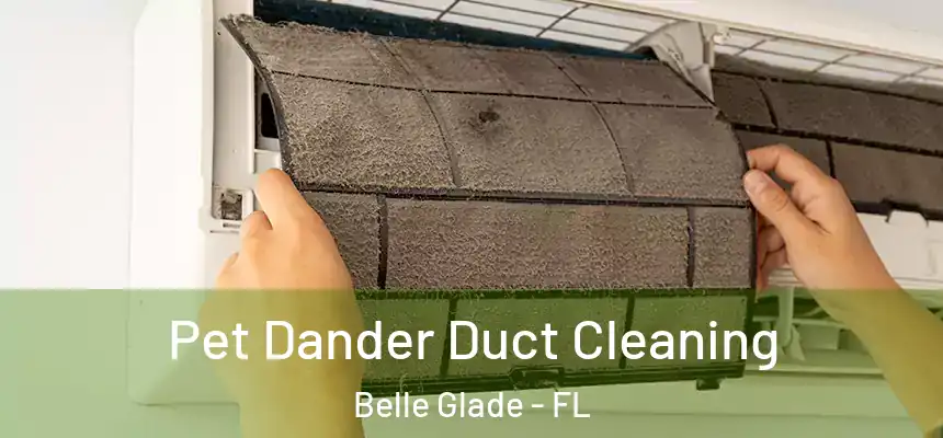 Pet Dander Duct Cleaning Belle Glade - FL