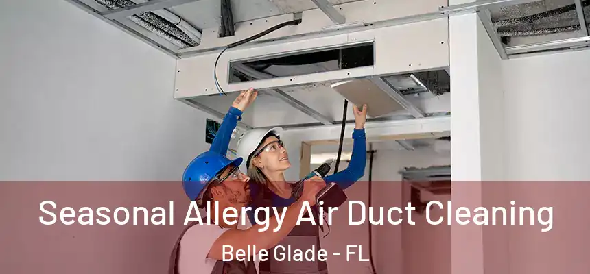 Seasonal Allergy Air Duct Cleaning Belle Glade - FL