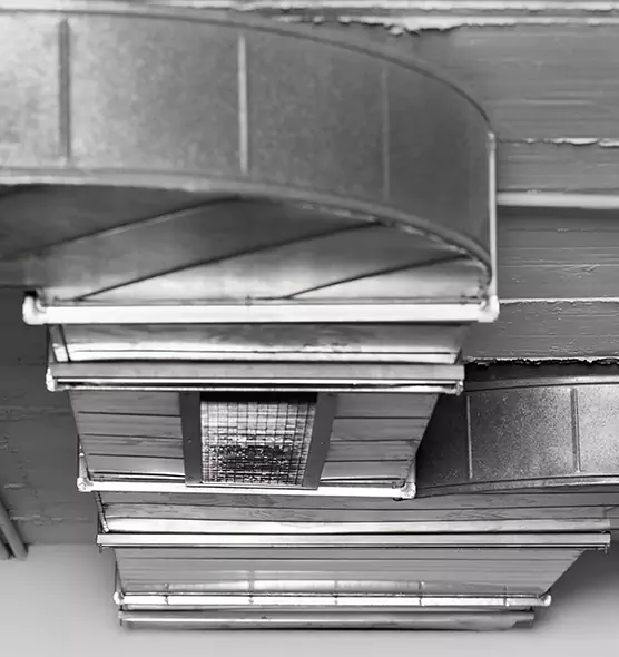 Professional Air Duct Pest Removal in Belle Glade, FL