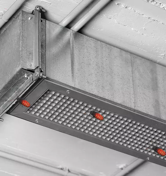 Affordable Insect Removal from Air Ducts in Belle Glade, FL