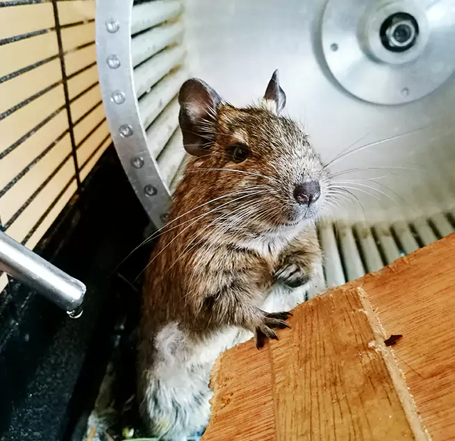 Why Homeowners & Businesses Trust Us Belle Glade, FL?