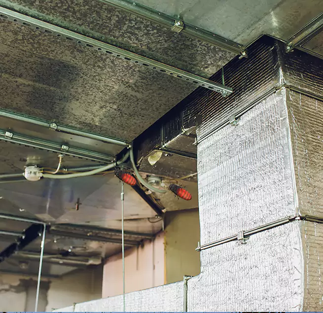 Why Homeowners & Businesses Trust Us Belle Glade, FL?